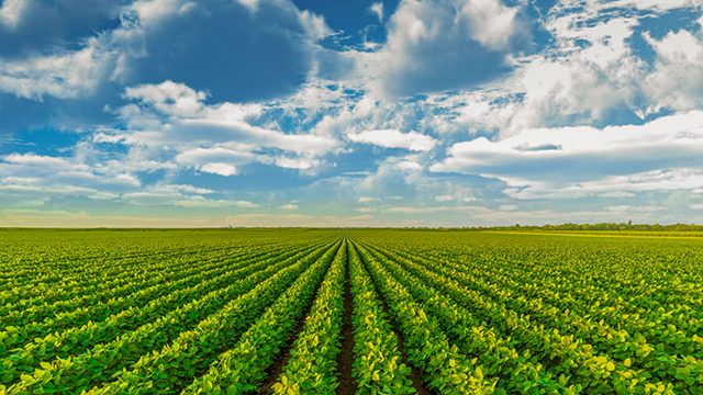 金豆子農業股份有限公司