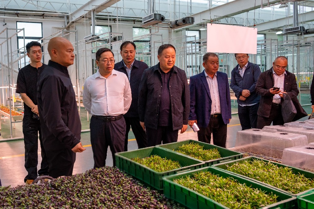 國家大豆產(chǎn)業(yè)專家團赴金豆子集團考察調(diào)研，共同探討大豆產(chǎn)業(yè)鏈發(fā)展